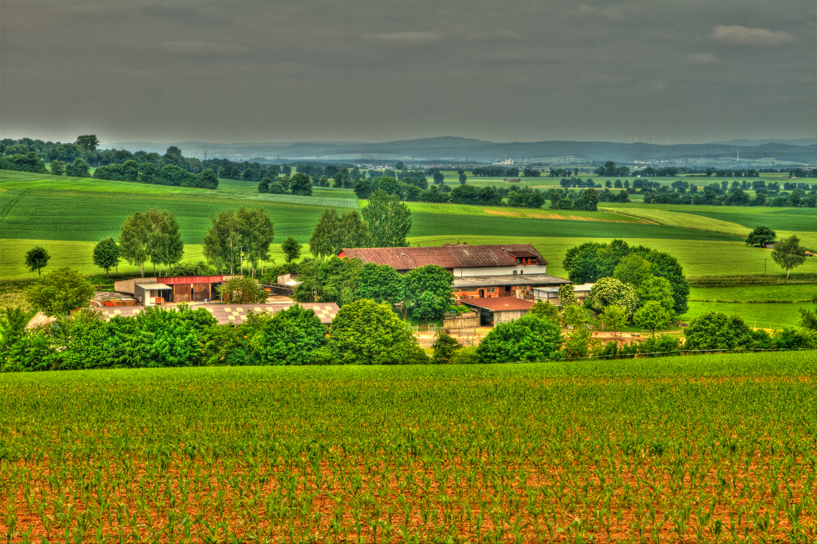 Talhof im Sommer