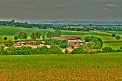 Talhof im Sommer