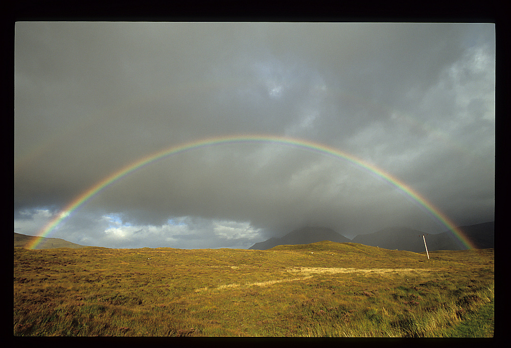 Talisker