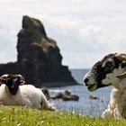 Talisker Bay