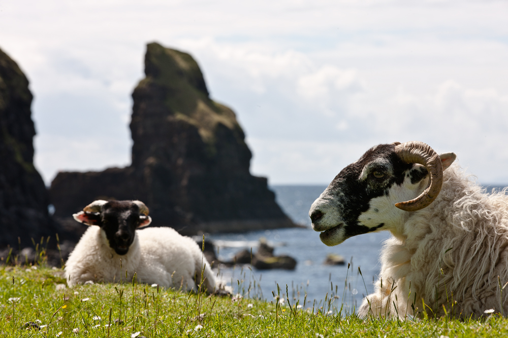 Talisker Bay