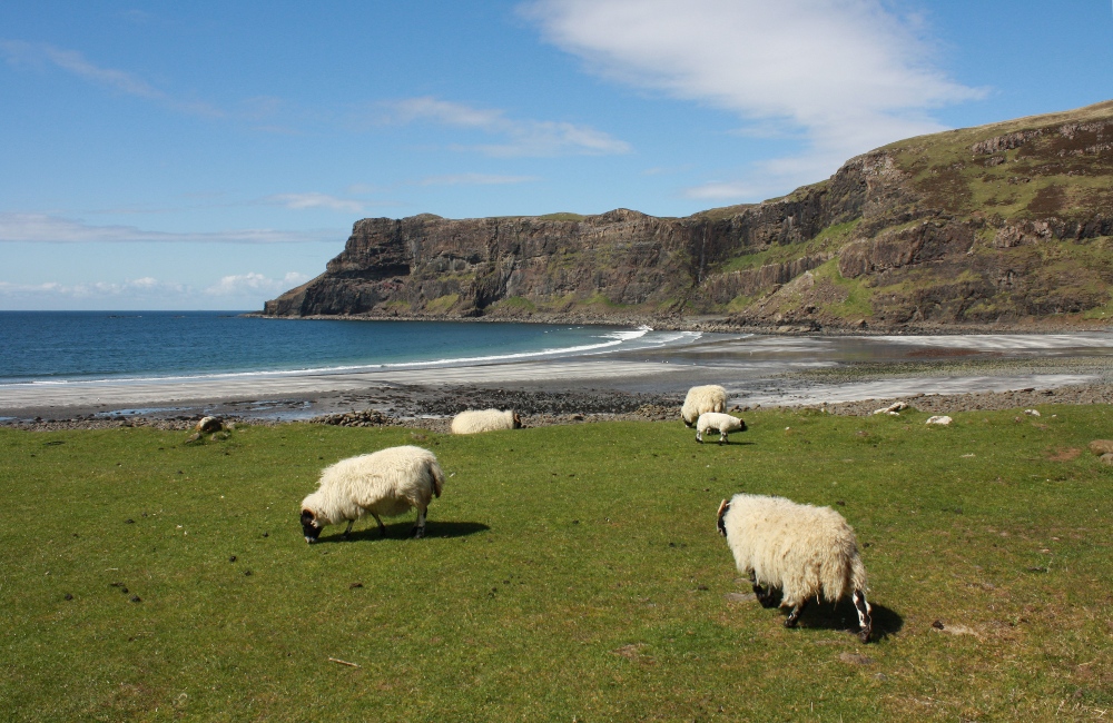 Talisker Bay