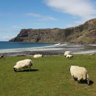 Talisker Bay