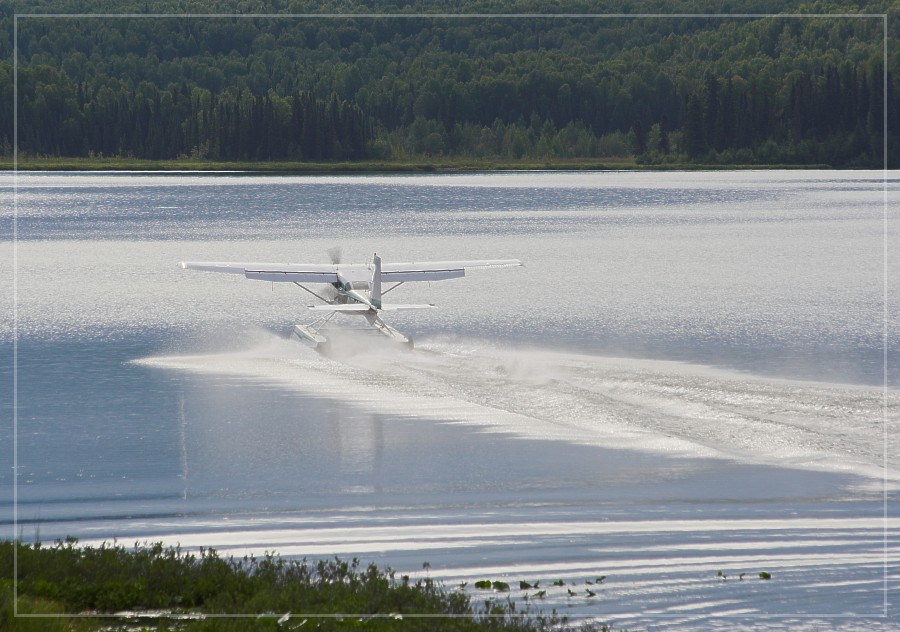 Talkeetna Bush-Pilot-Service