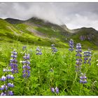 Talkeetna Mountains