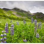 Talkeetna Mountains