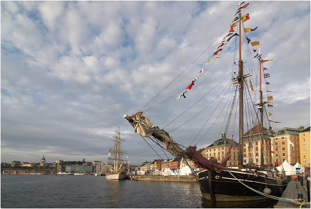 Tall Ship Race 2007 - 1