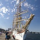 Tall Ship Race 2015 Aalborg