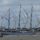 Tall Ships