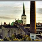 Tallin 5