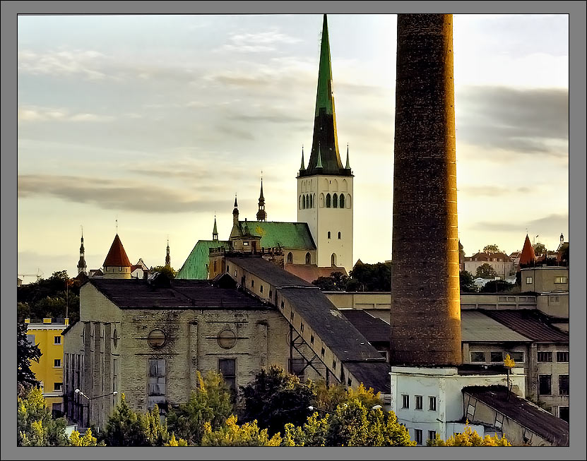 Tallin 5