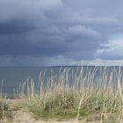 Tallin am wilden Strand