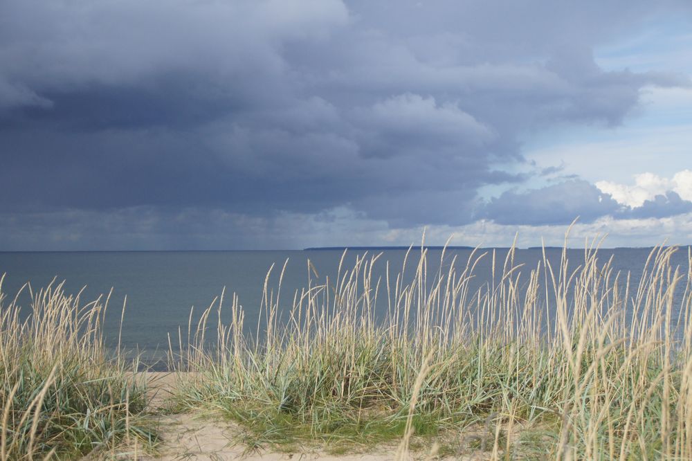 Tallin am wilden Strand