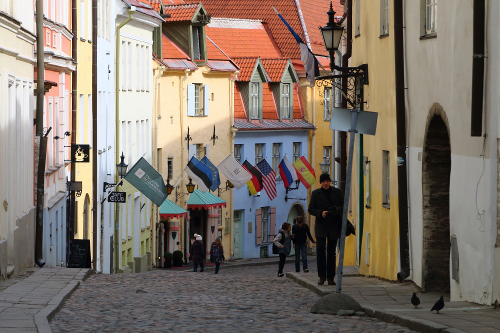 Tallin VII