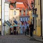 Tallin VII