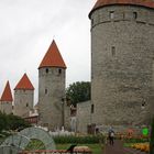 Tallinn (2)