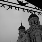 Tallinn 2008: Cathedral