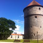 Tallinn