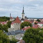 Tallinn