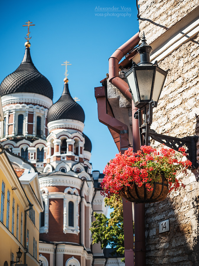 Tallinn - Alexander-Newski-Kathedrale