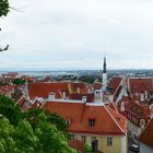 Tallinn