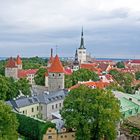 Tallinn - Blick vom Domberg
