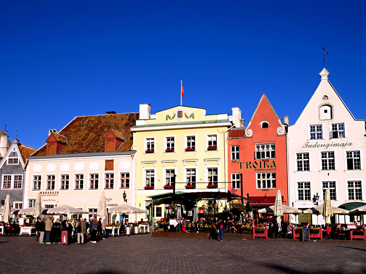 Tallinn (Estonia) Raekoja Square