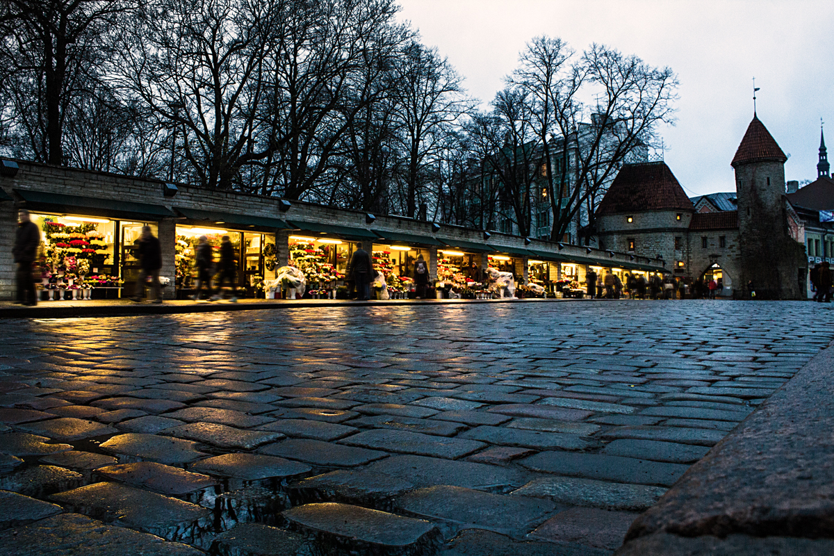 Tallinn - Evening