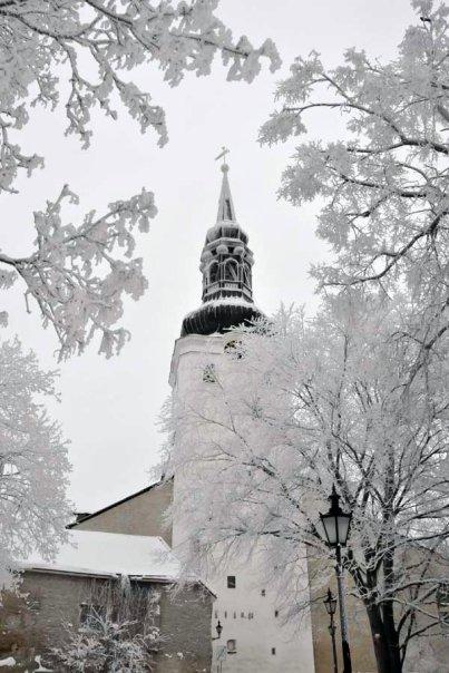 Tallinn im Winter 2