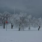 Tallinn im Winter