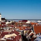 Tallinn im Winter I