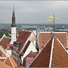 Tallinn Panorama...