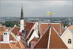 Tallinn Panorama...