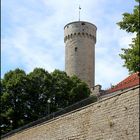 Tallinn   Pikk Hermann auf dem Domberg