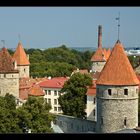 Tallinn - Stadt der Türme