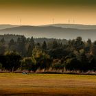 Talnebel im abendlichen Westerwald