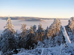 Talnebel im Harz 2