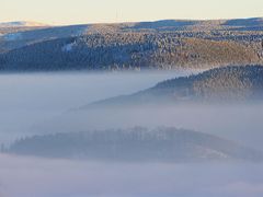 Talnebel im Harz 5