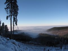 Talnebel im Harz