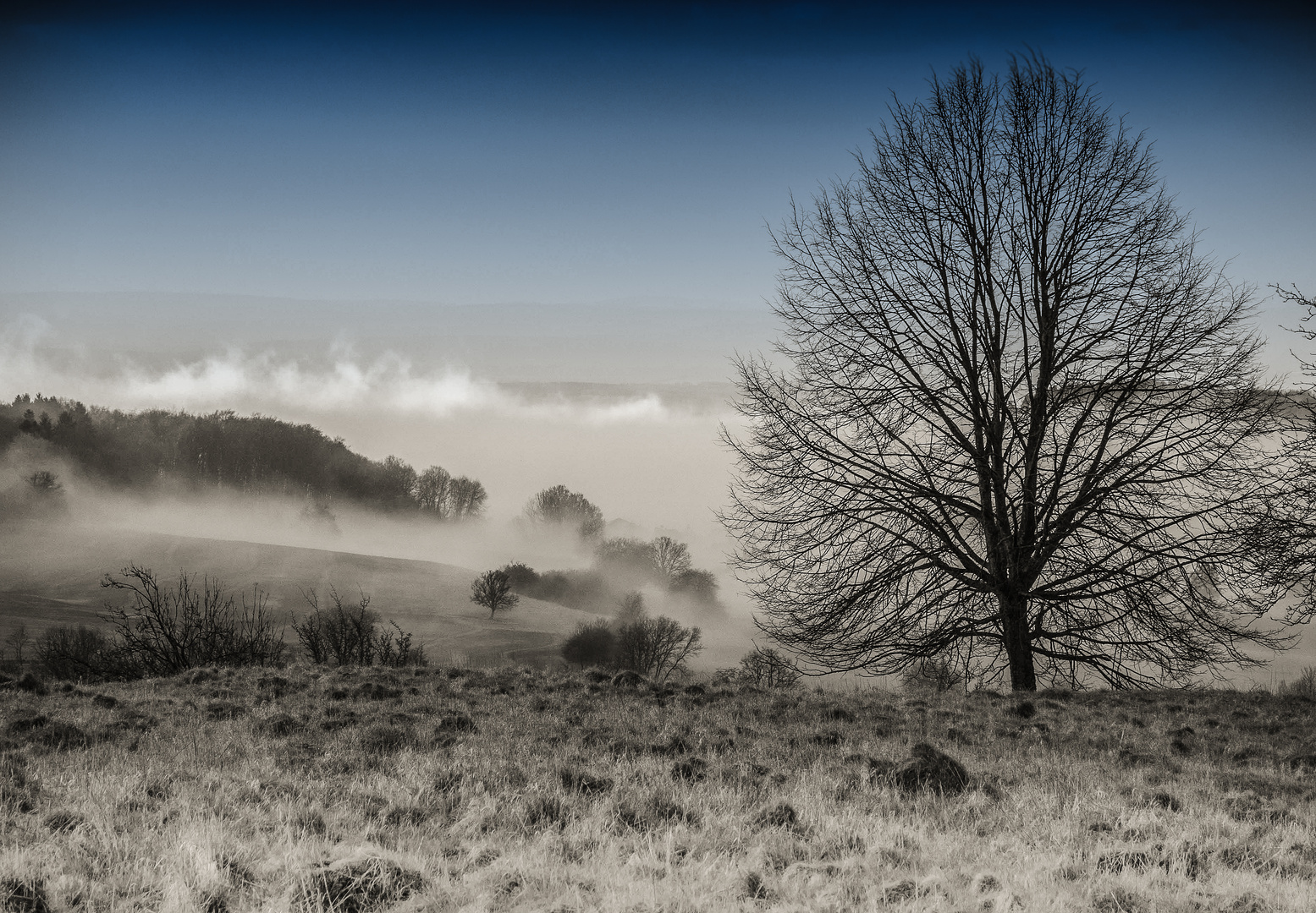 Talnebel im Westerwald