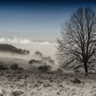 Talnebel im Westerwald