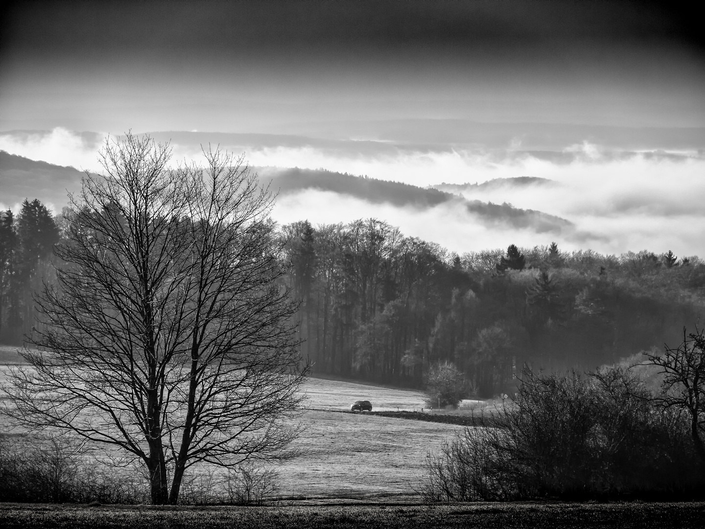 Talnebel im Westerwald