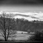 Talnebel im Westerwald