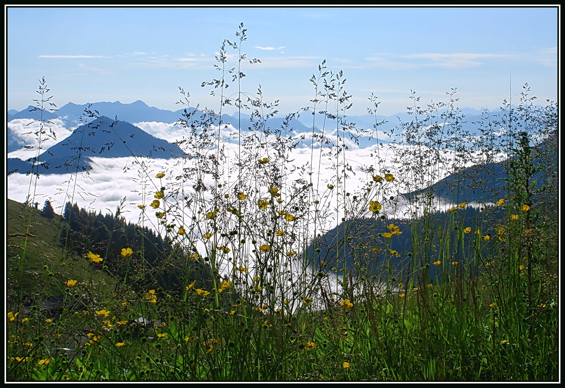 TalNebelBlick... vom oberen Sudelfeld