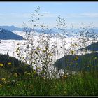 TalNebelBlick... vom oberen Sudelfeld