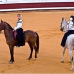 Étalons, cavalières et élégance 