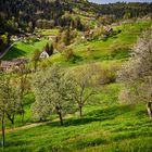 Talsicht auf dem Mühlenwanderweg im Ottenhöfener Tal