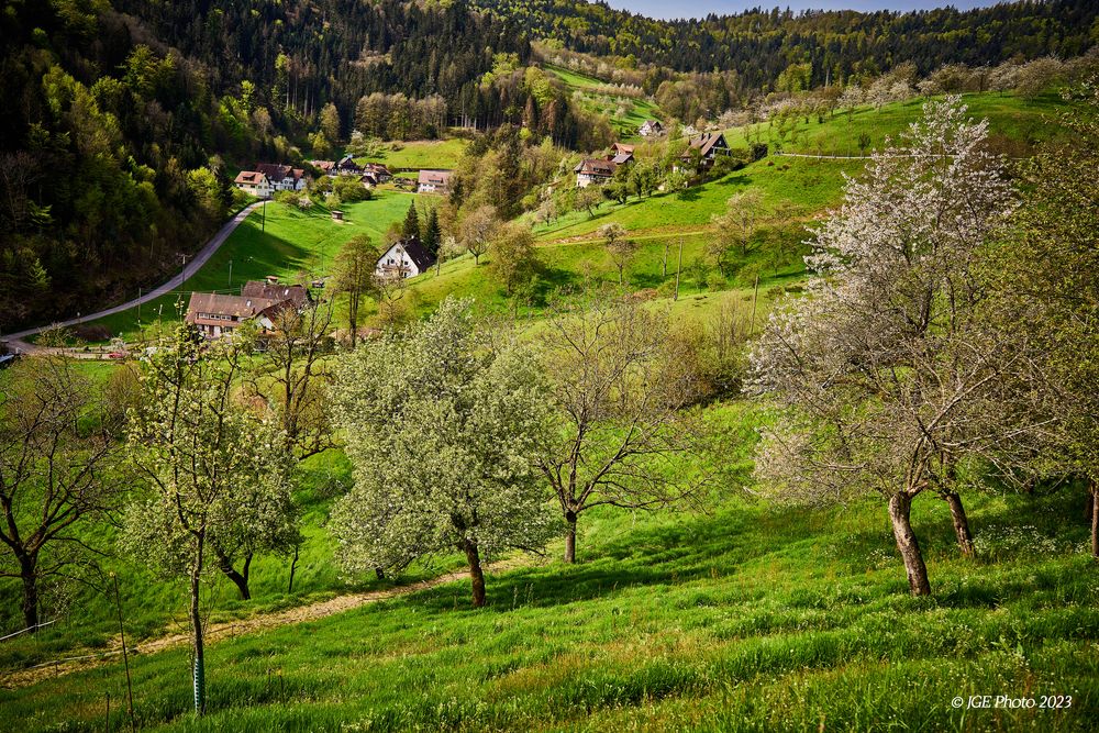 Talsicht auf dem Mühlenwanderweg im Ottenhöfener Tal