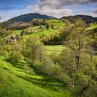 Talsicht auf dem Mühlenwanderweg im Ottenhöfner Tal