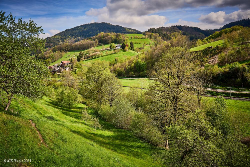 Talsicht auf dem Mühlenwanderweg im Ottenhöfner Tal